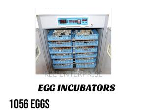 1056 Eggs Incubators Brand New - thumbnail 2