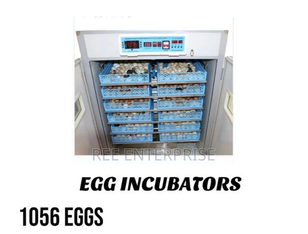1056 Eggs Incubators Brand New - main view