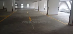 Roadmarking of Parking Lots
