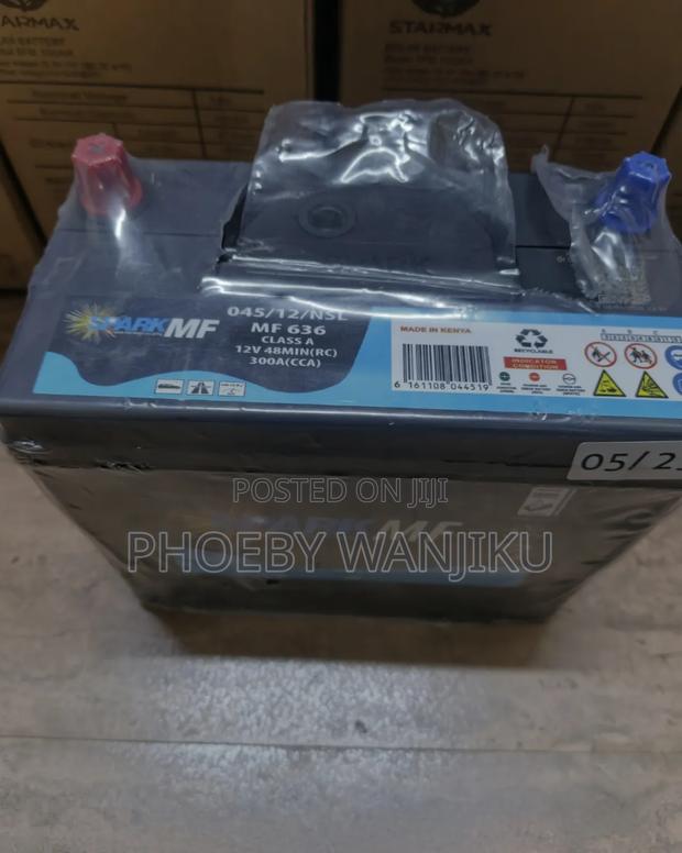 Car Battery/Mf Car Battery