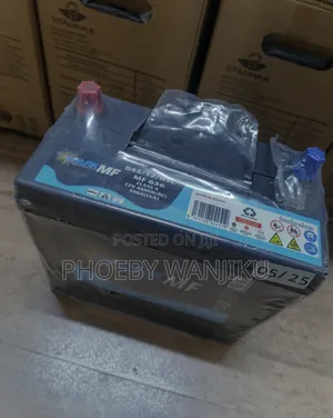 Maintenance Free Car Battery N40