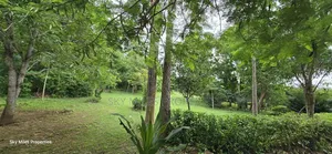 4bdrm Villa in Kikambala for sale