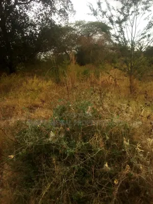 40,000 Acres With Water in Witu Lamu Is Available for Sale