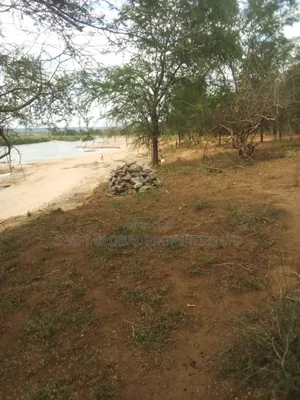40,000 Acres With Water in Witu Lamu Is Available for Sale