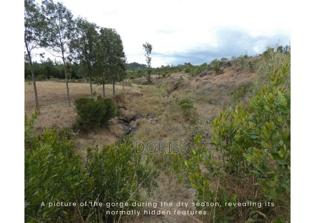 Hot Deal- 1 Acre in Nanyuki/Naromoru