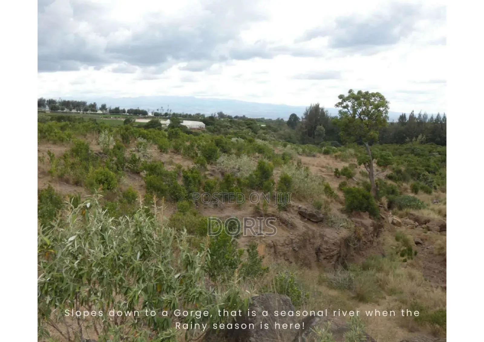 Hot Deal- 1 Acre in Nanyuki/Naromoru