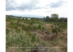 Hot Deal- 1 Acre in Nanyuki/Naromoru