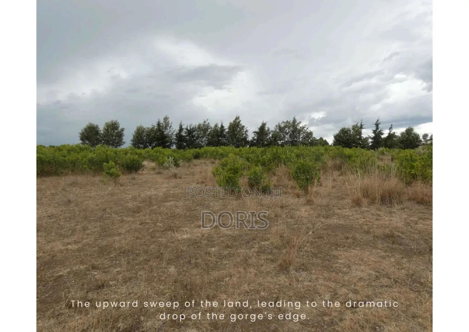 Hot Deal- 1 Acre in Nanyuki/Naromoru