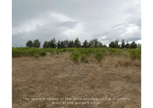Hot Deal- 1 Acre in Nanyuki/Naromoru