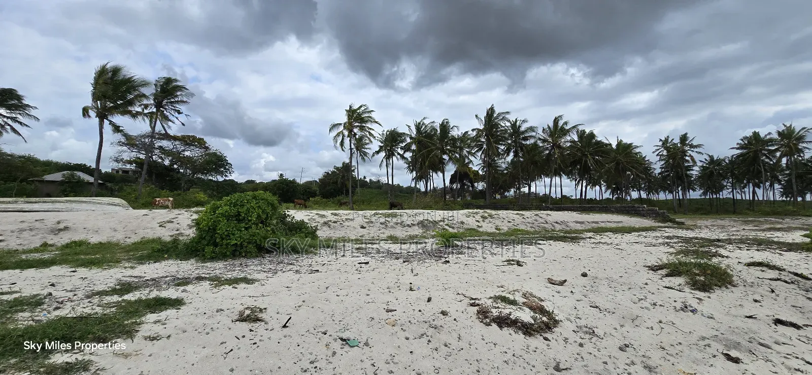 1 Acre Beach Plot for Kikambala