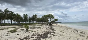 1 Acre Beach Plot for Kikambala
