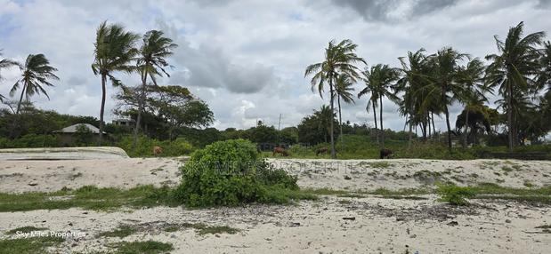 1 Acre Beach Plot for Kikambala - thumbnail 4