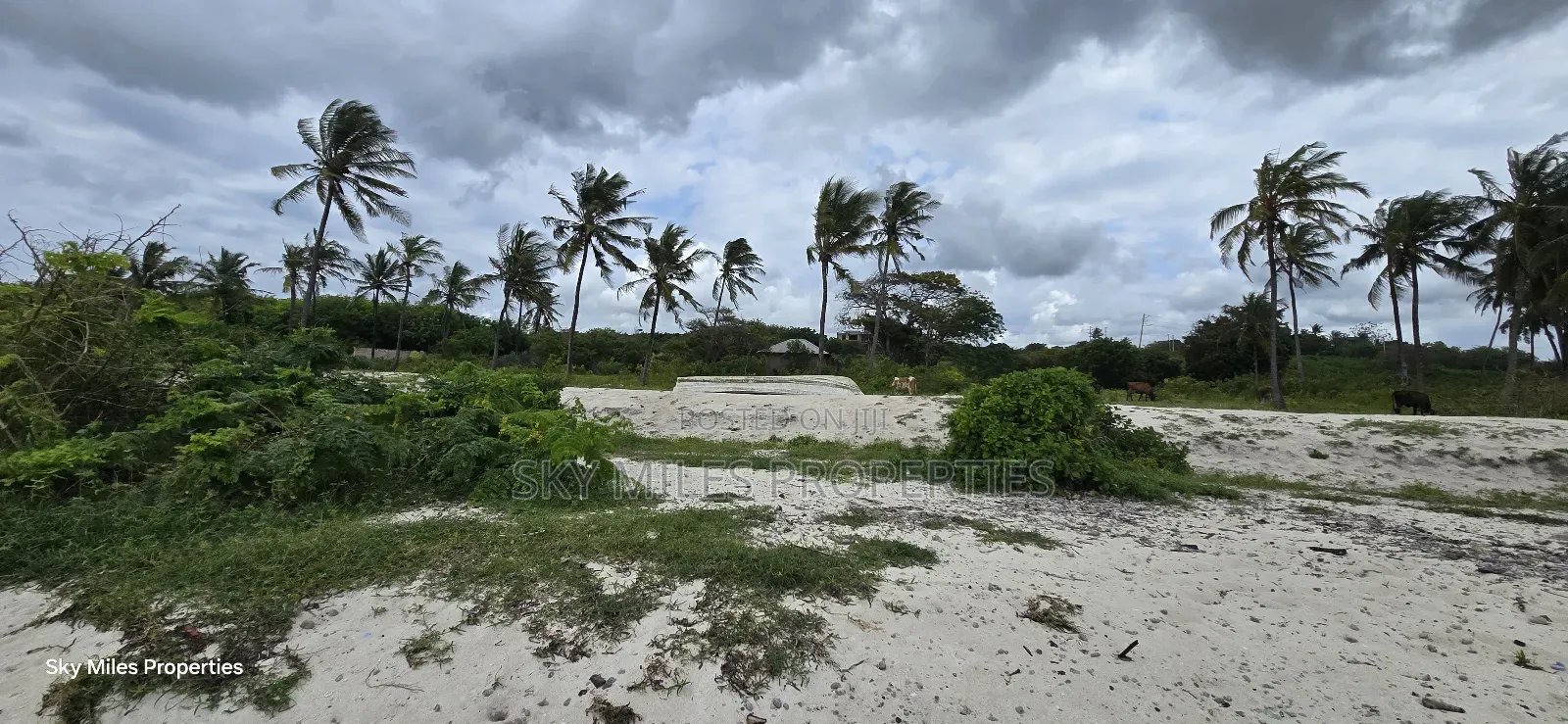 1 Acre Beach Plot for Kikambala
