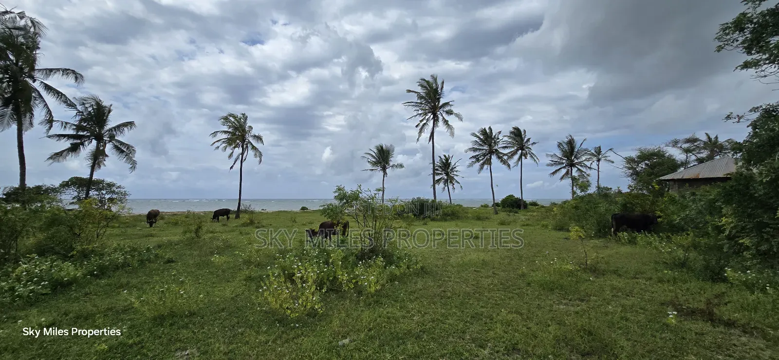 1 Acre Beach Plot for Kikambala