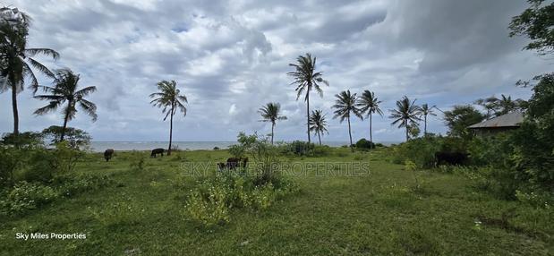 1 Acre Beach Plot for Kikambala - thumbnail 7