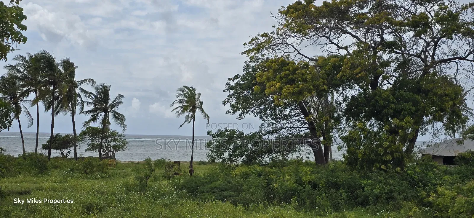 1 Acre Beach Plot for Kikambala