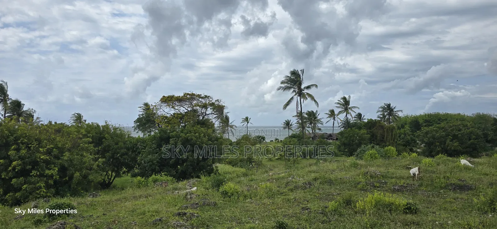 1 Acre Beach Plot for Kikambala
