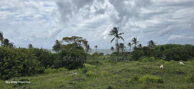 1 Acre Beach Plot for Kikambala - thumbnail 11