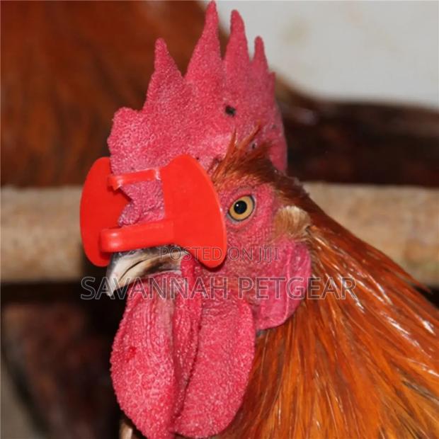Plastic Chicken Eye Glasses for Poultry Pheasant Farm -100pc