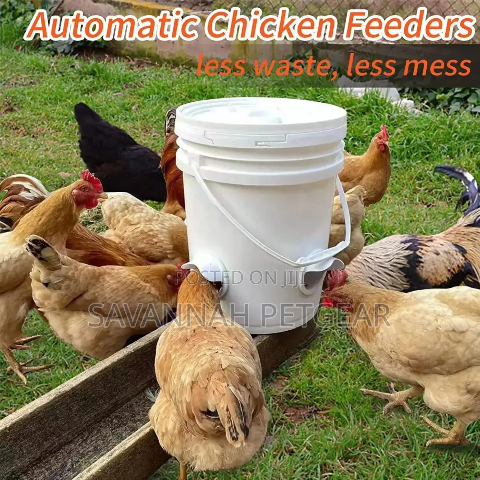 Weather-Proof Chicken Feeder Diy - 10 Pieces