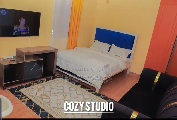 Furnished 1bdrm Bedsitter in Trm Drive, Roysambu for rent