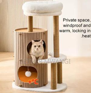 Cat Bucket Nest In Kenya - thumbnail 2