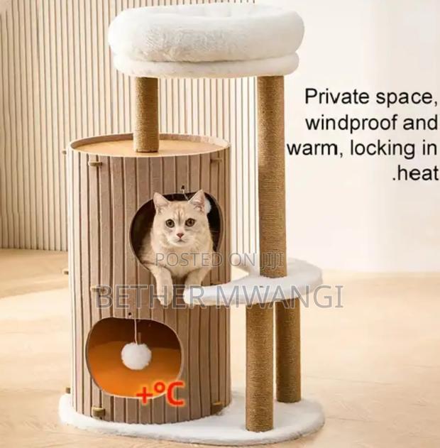 Cat Bucket Nest In Kenya - main view