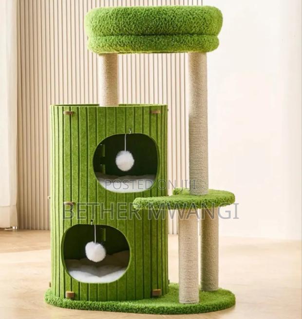 Cat Bucket Nest In Kenya - thumbnail 3