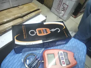 Available 200kg Mini Crane / Available Mini Crane