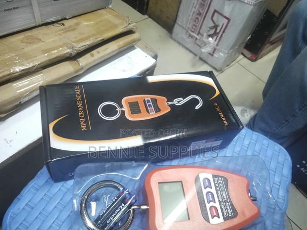 Available 200kg Mini Crane / Available Mini Crane