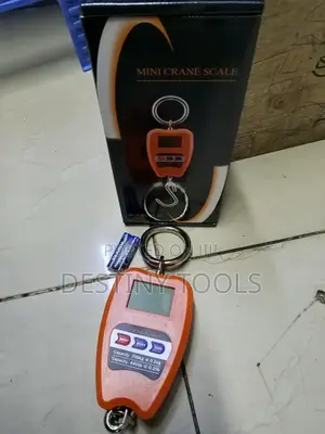 200kg Mini Crane Scale