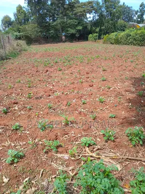 Land for Sale in Ngong Kibiko View Point