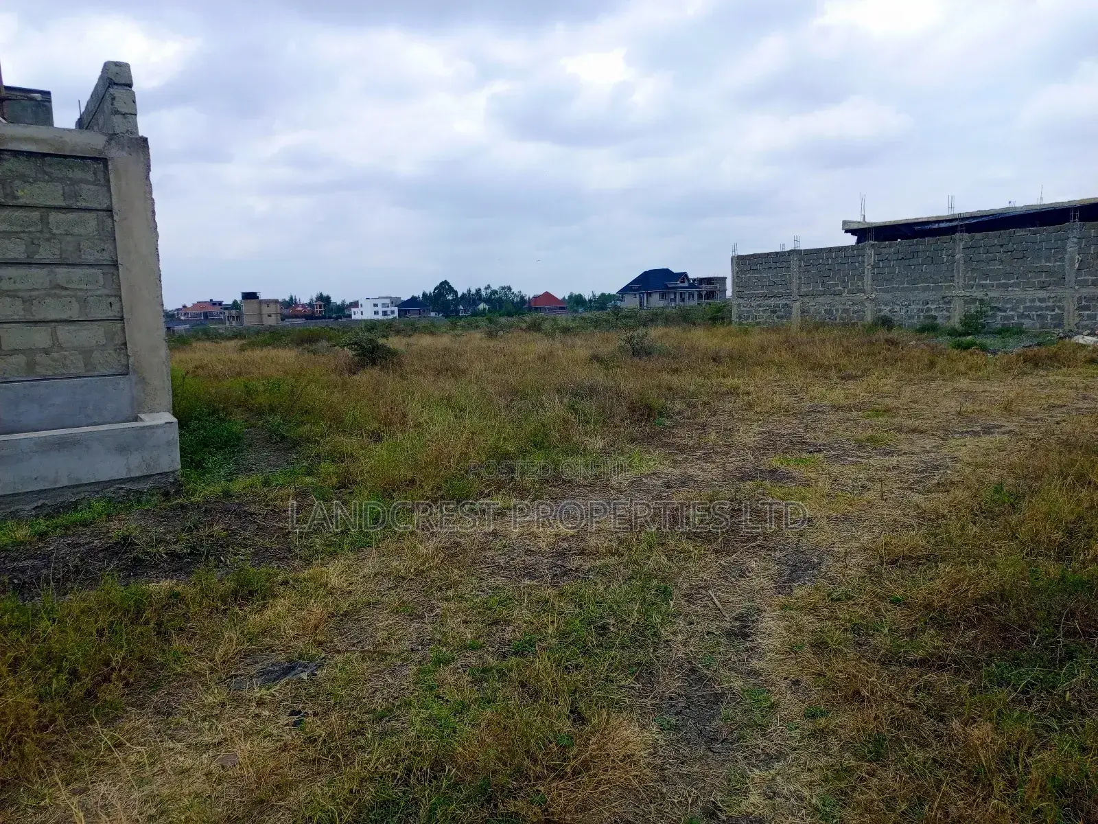 50*100 Land for Sale in Katani