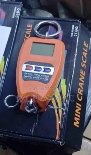 Digital 200kg Hanging Scale/Hanging Scale Machine 200kg