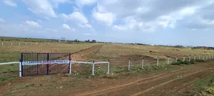 50 by 100 Ft Plots in Mirera Area, Selling for 700,000