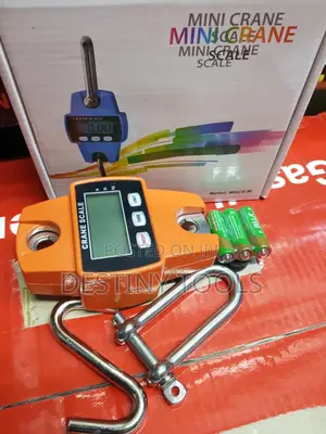 300kg Mini Crane Scale