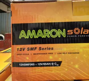 Amaron Quanta 12v65ah Deep Cycle Maintenance Free Battery