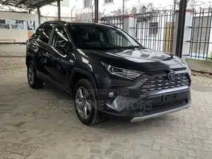 Toyota RAV4 Hybrid 2020 Gray