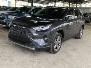 Toyota RAV4 Hybrid 2020 Gray