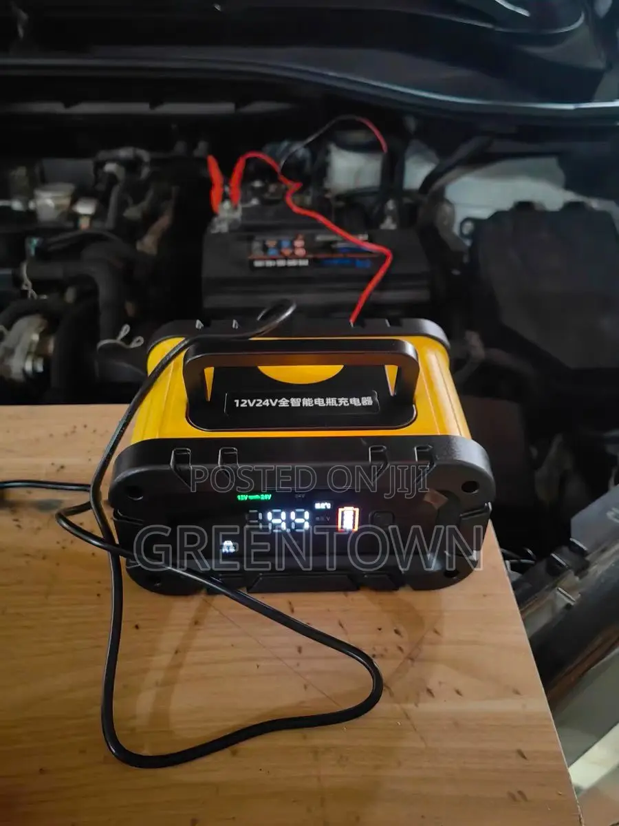 12v/24v Smart Car Battery Charger