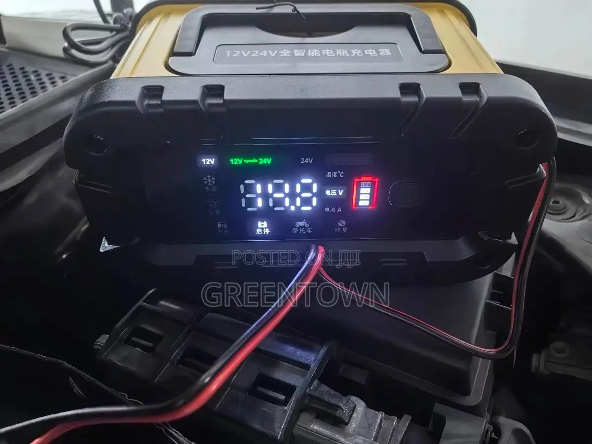 12v/24v Smart Car Battery Charger
