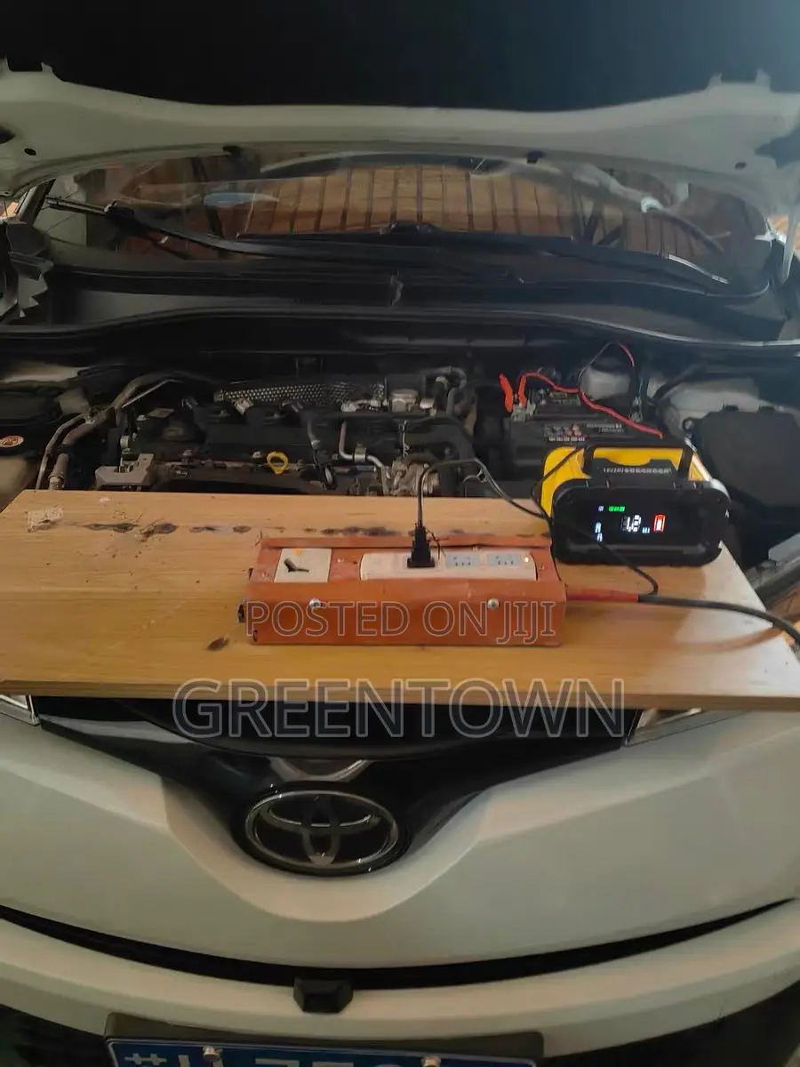 12v/24v Smart Car Battery Charger
