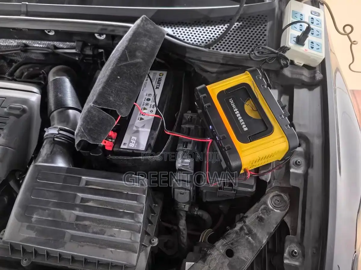 12v/24v Smart Car Battery Charger
