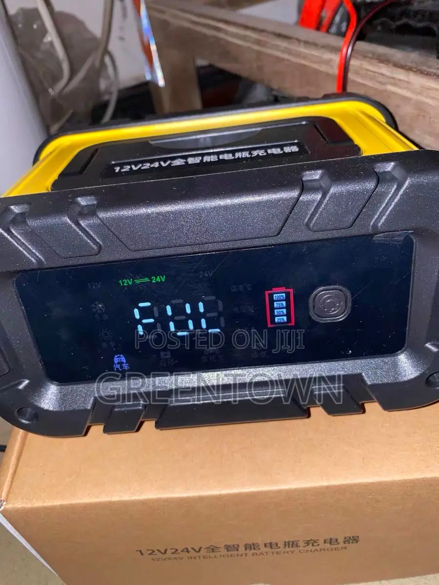 12v/24v Smart Car Battery Charger