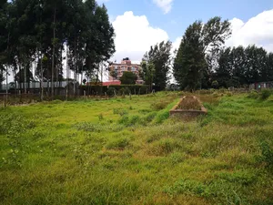 50by100 Plot for Sale in Zambezi Kikuyu Kiambu County.