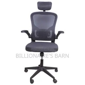 Grey Ergonomic Office Chair
