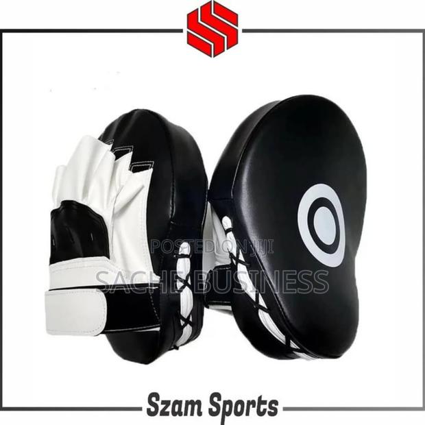 Boxing Pads - main view