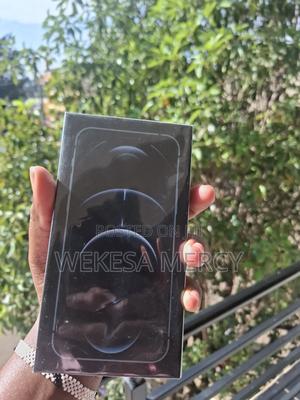 New Apple iPhone 12 Pro Max 256 GB Blue - thumbnail 2