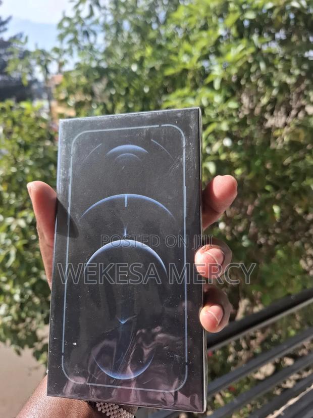 New Apple iPhone 12 Pro Max 256 GB Blue - thumbnail 3