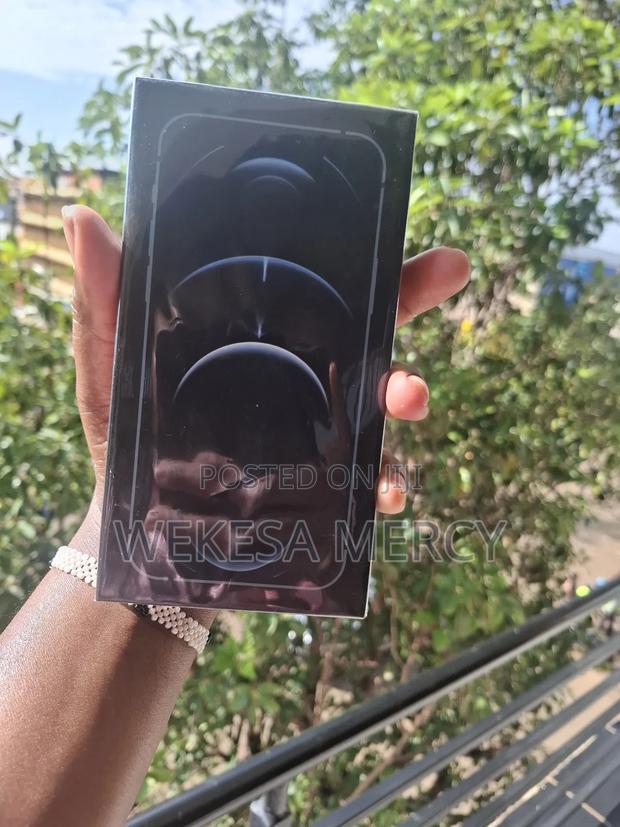 New Apple iPhone 12 Pro Max 256 GB Blue - thumbnail 4